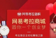 网易公布了2018年度Q1财报,网易考拉海购业务同比增长101%