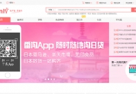 Panli海外华人购物网站分析