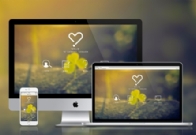 新加坡淘宝代购系统开发要注意那些？