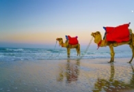 “中东电商市场”你知道多少？